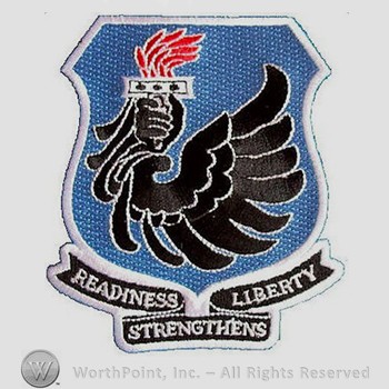Mark with Gaggle Patch : 106th Rescue Wing | #345674